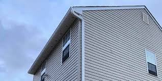 Best Historical Building Siding Restoration  in Cypress Lake, FL